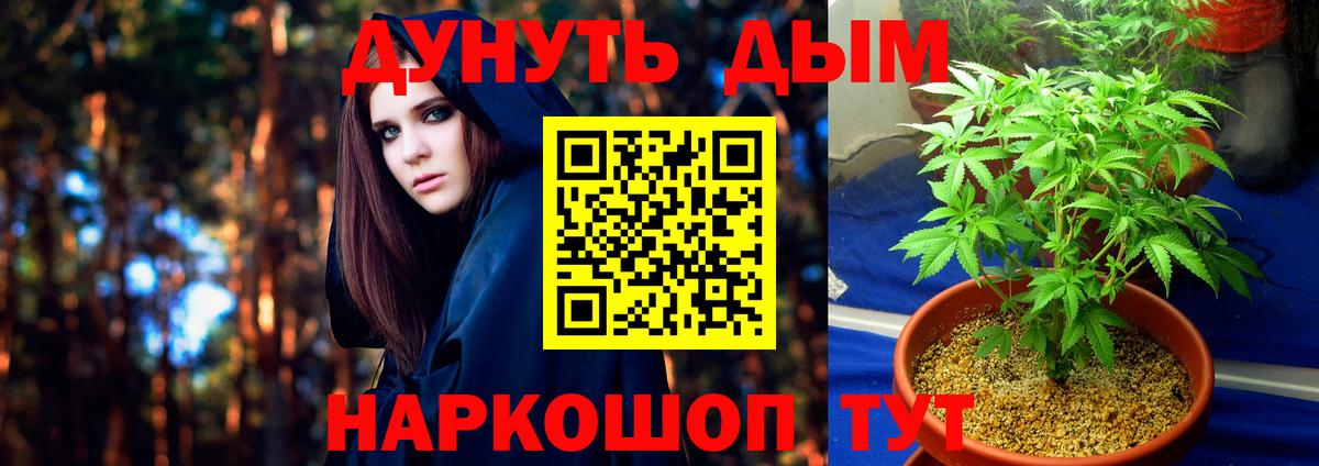 Бошки Шишки Bruce Banner  Марихуана OG Kush  Бошки Шишки тримм  Вход с VPN  Красноуфимск 